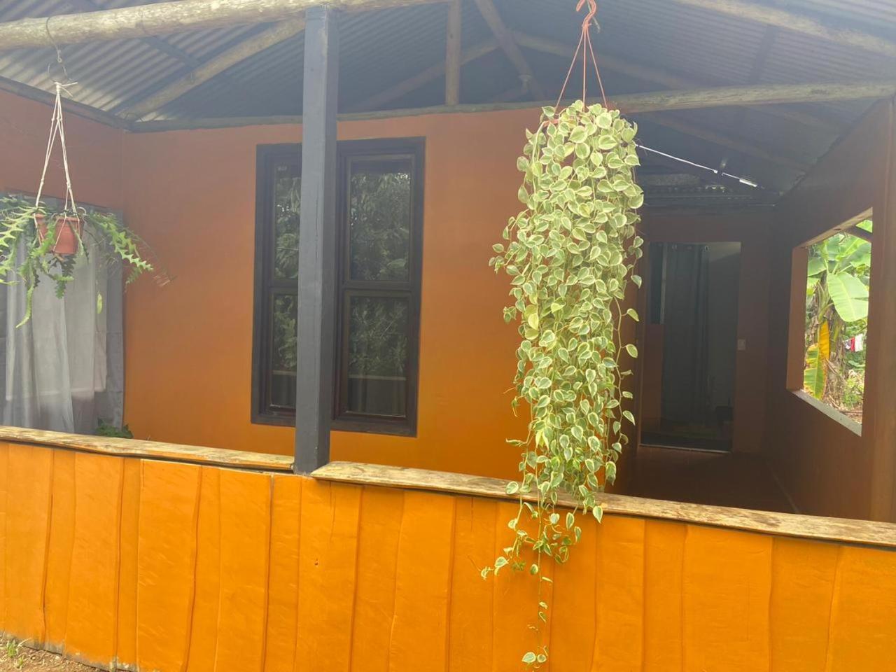 Cabinas Corcovado Green Parrot, Los Planes Drake Drake Bay Exterior photo