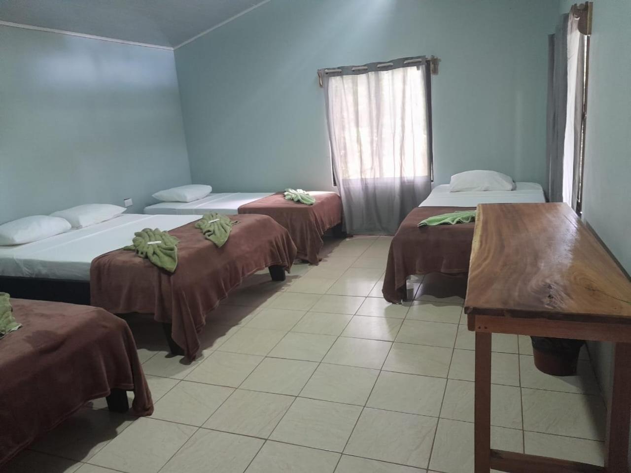 Cabinas Corcovado Green Parrot, Los Planes Drake Drake Bay Exterior photo