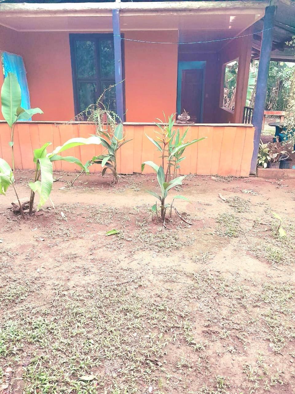 Cabinas Corcovado Green Parrot, Los Planes Drake Drake Bay Room photo